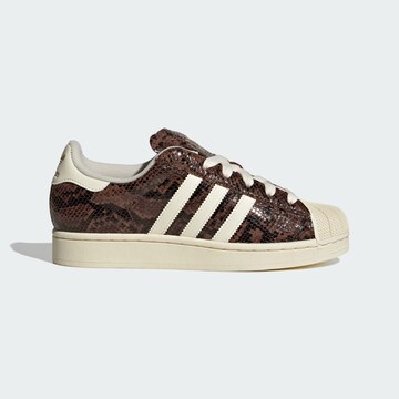 Baskets basses 'Superstar II' ADIDAS ORIGINALS en marron
