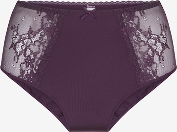 LingaDore Panty 'DAILY' in Purple: front