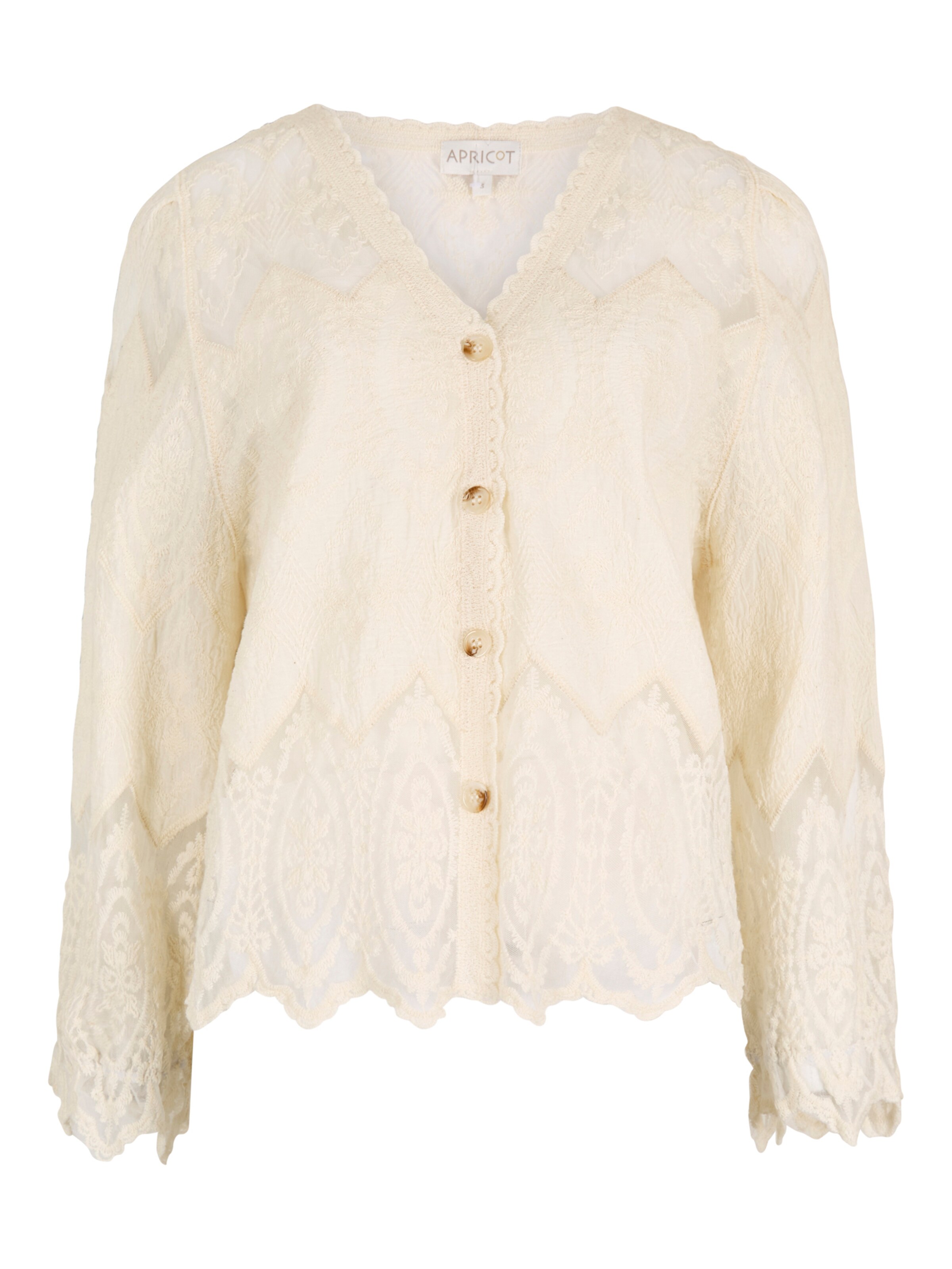 Apricot Embroidered Mesh Button Down Top ' ' in Silber: Vorderseite