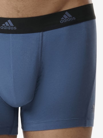 ADIDAS ORIGINALS Boxer shorts ' Active Flex Cotton ' in Grey