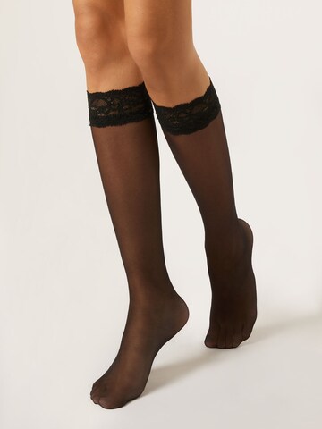 CALZEDONIA Knee High Socks in Black: front