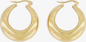 My Jewellery Earrings in Gold: front