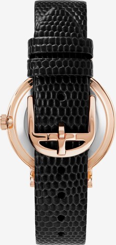 Ted Baker Analog Watch 'Phylipa' in Black