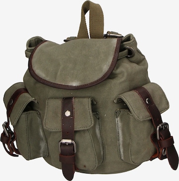Gave Lux Backpack in Green: front