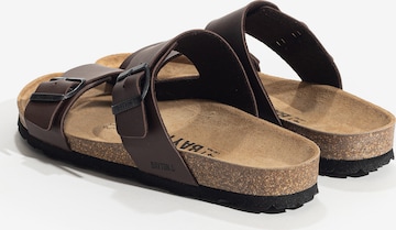 Bayton Mules 'LARDEN' in Brown