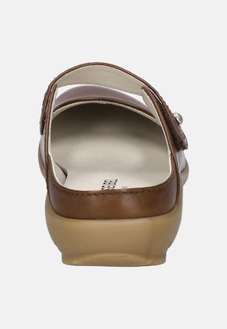 JOSEF SEIBEL Slip-ons 'Charlotte 04' in Brown