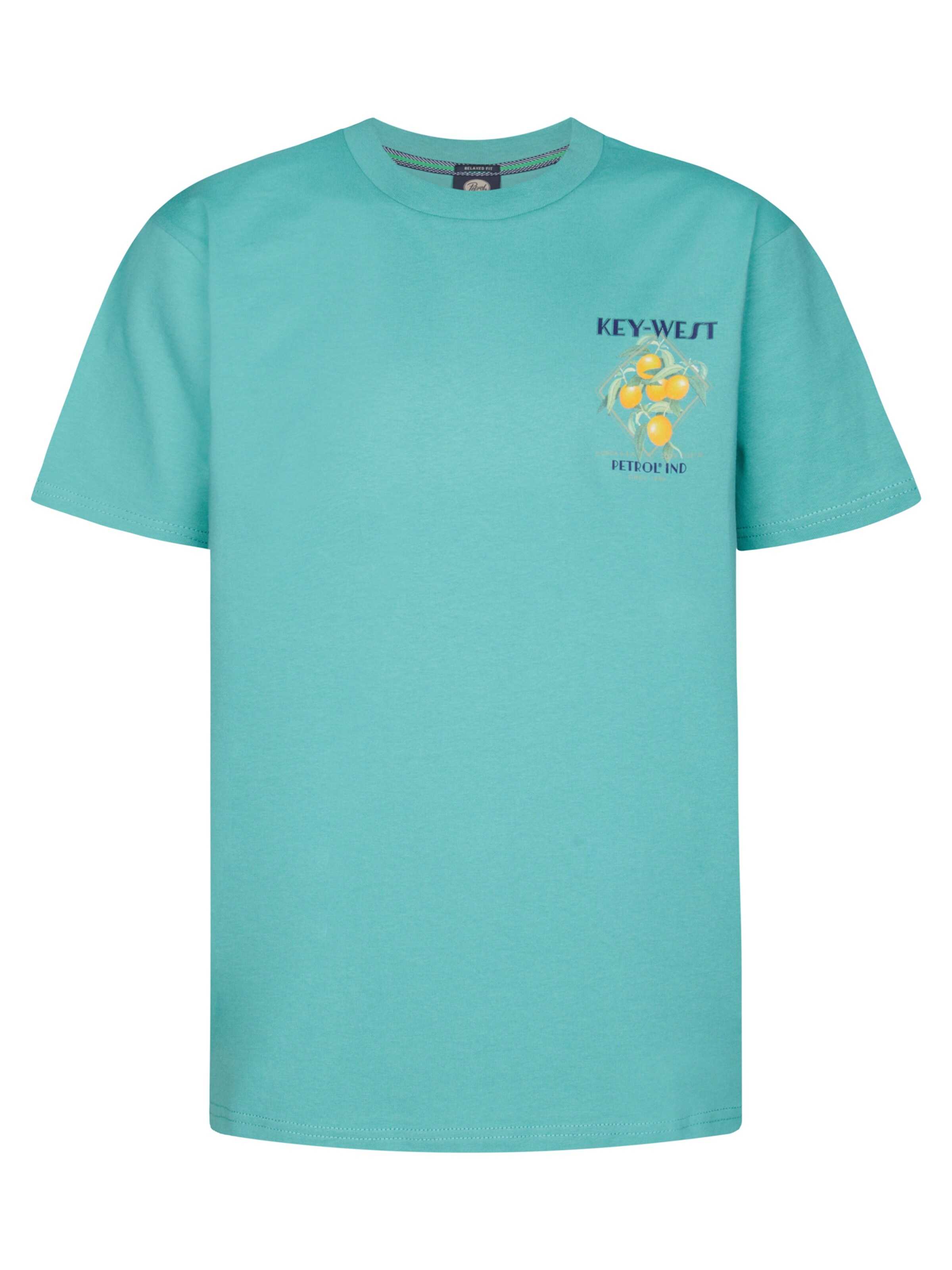 Maglietta 'Breezecrest' di Petrol Industries in verde: frontale