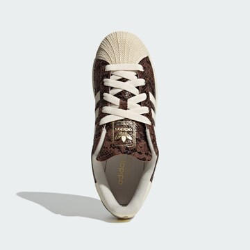 Baskets basses 'Superstar II' ADIDAS ORIGINALS en marron