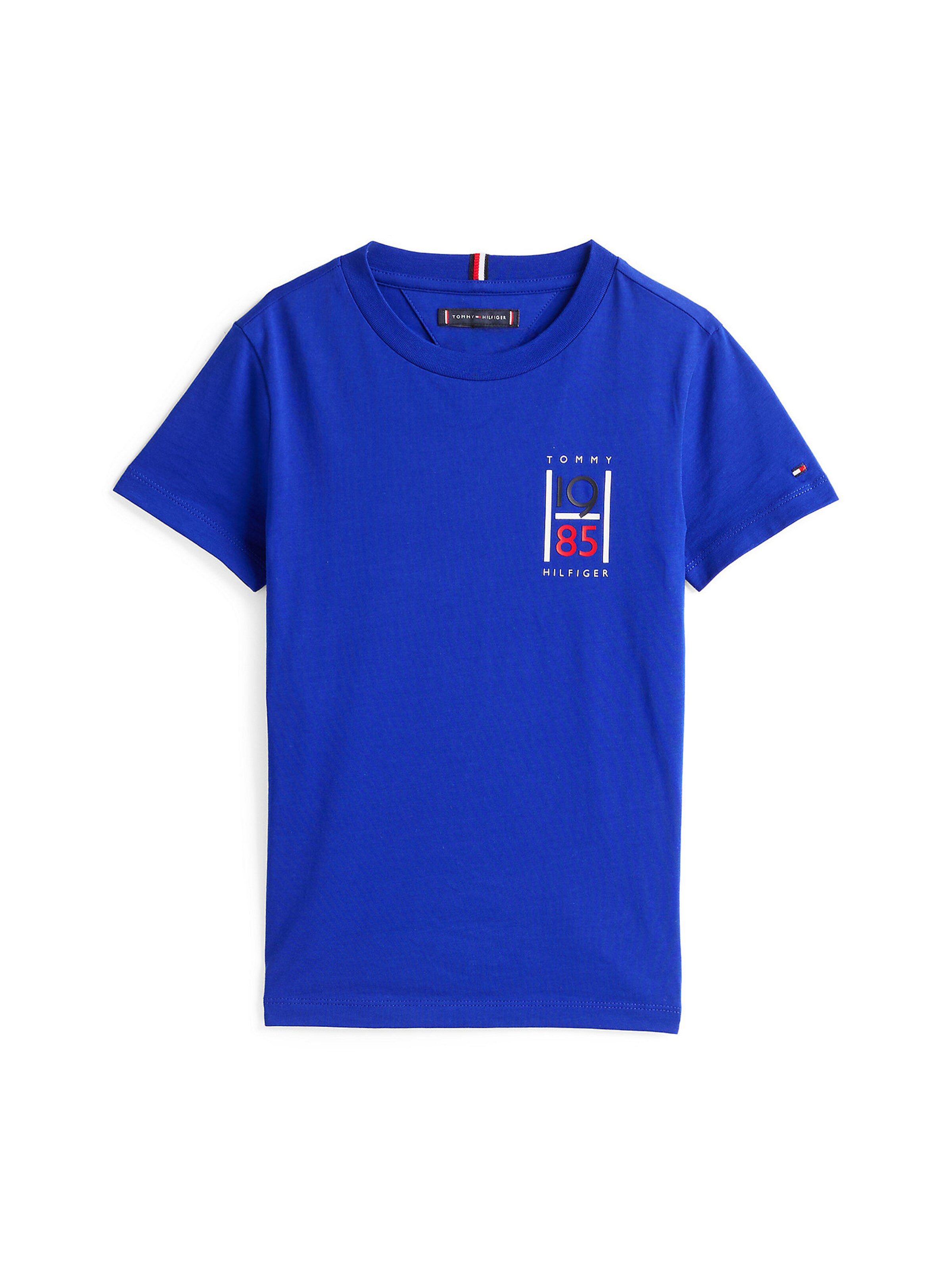 TOMMY HILFIGER Shirt in Blue: front
