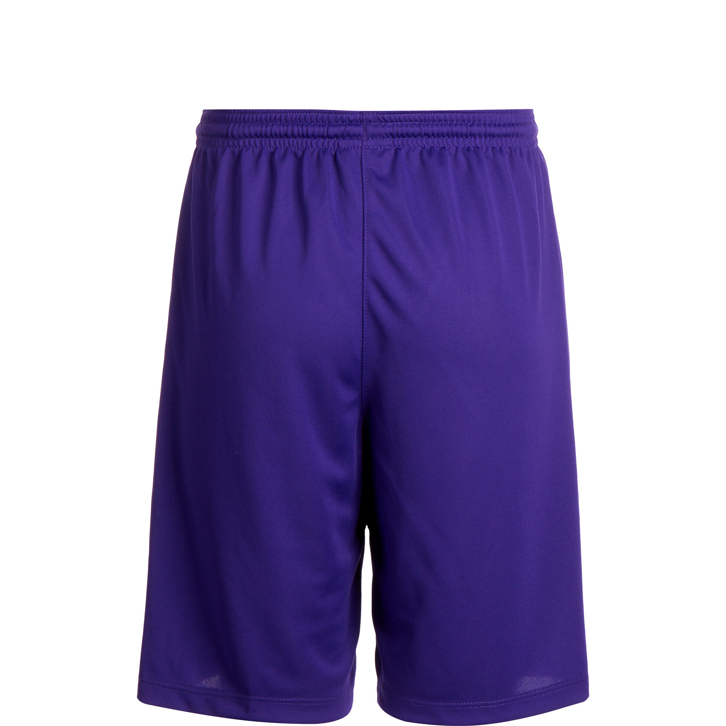 NIKE Regular Workout Pants 'Dry Park III' in Purple