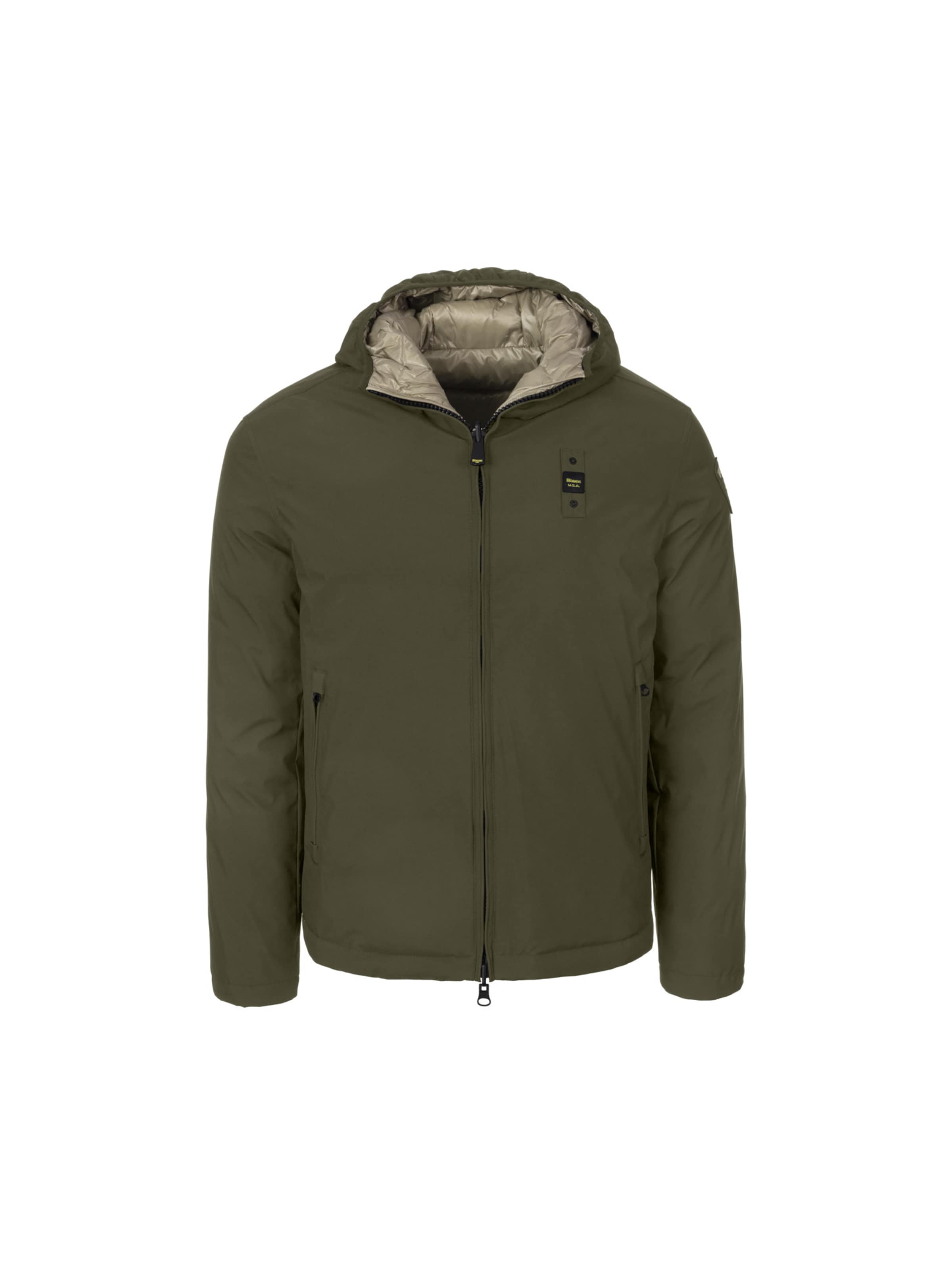 Veste d’hiver 'Ballard' Blauer en vert : devant