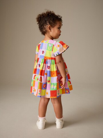 Next Dress in Mixed colors