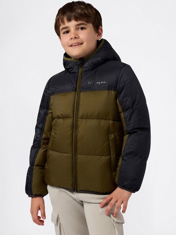 Champion Authentic Athletic Apparel Vinterjakke i grøn: forside