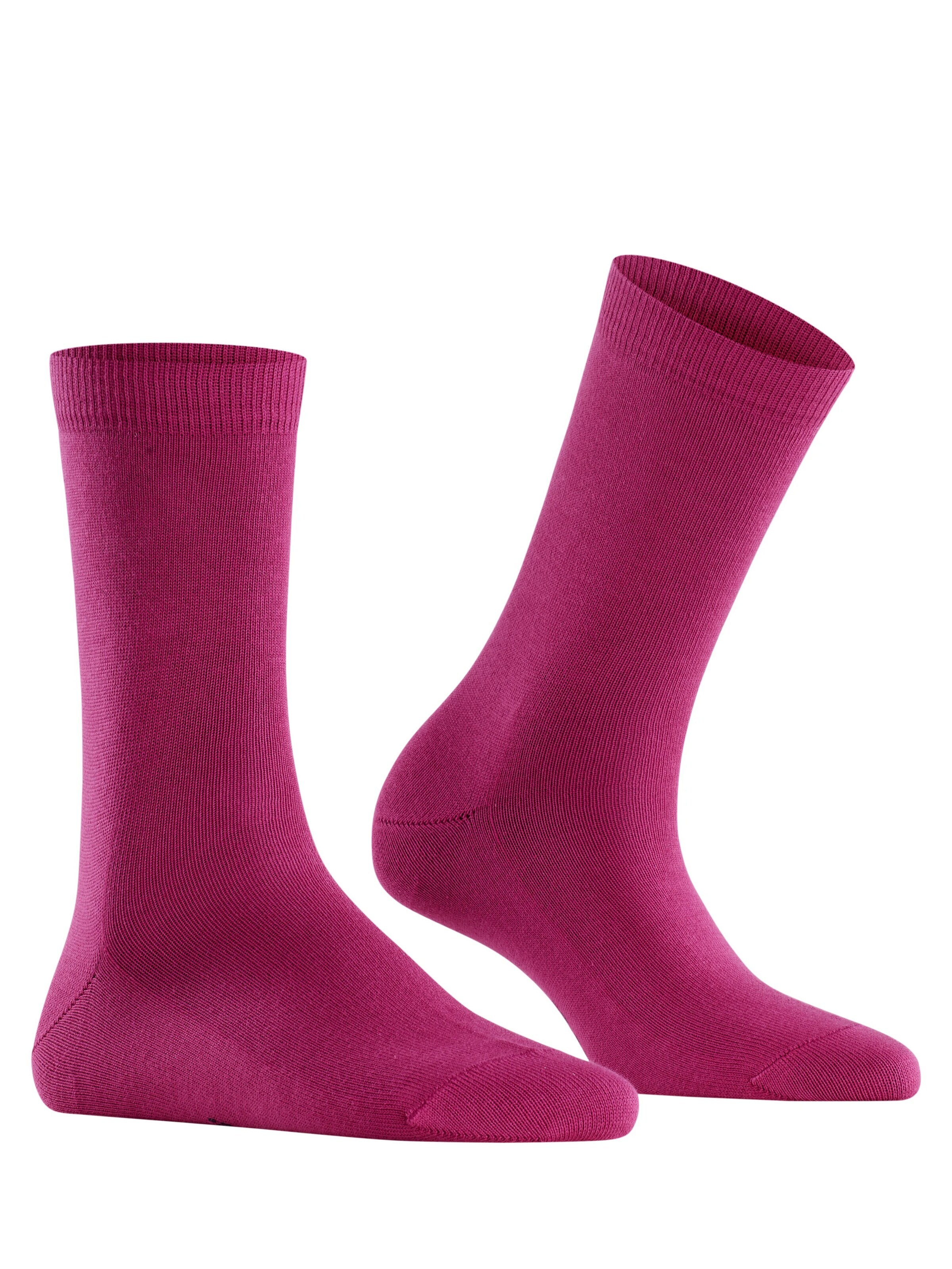 FALKE Socks 'Family' in Purple