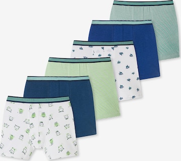 SCHIESSER Underpants ' 95/5 Organic Cotton ' in Blue: front