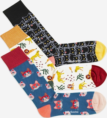 DillySocks Socks 'Cat Lover Pack - Kitty Chat - Cats of Prey - Sky Kitten' in Mixed colors: front
