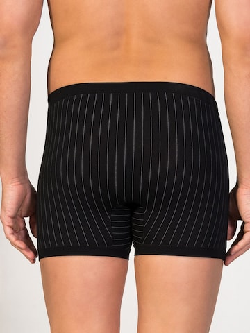 zd ZERO DEFECTS - Calzoncillo boxer 'Helios prinstriped fly front boxer' en negro