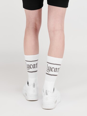 LYCATI exclusive for ABOUT YOU Ponožky 'Pale Mars' – bílá: přední strana