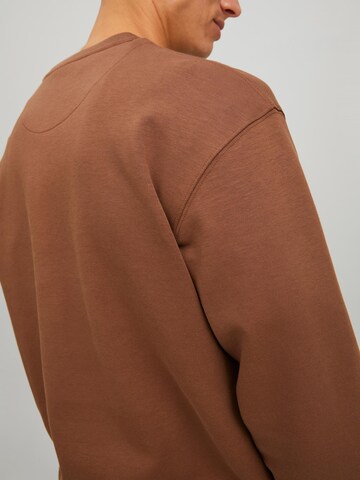 R.D.D. ROYAL DENIM DIVISION Sweatshirt in Braun