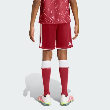 ADIDAS PERFORMANCE - regular Pantalón deportivo 'FC Liverpool 26/27' en rojo