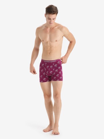 Sous-vêtements de sport 'Anatomica' ICEBREAKER en violet