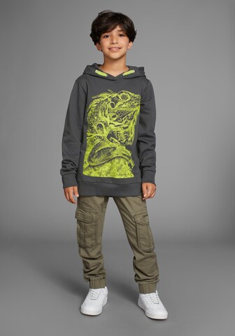 Kidsworld Sweatshirt in Grey