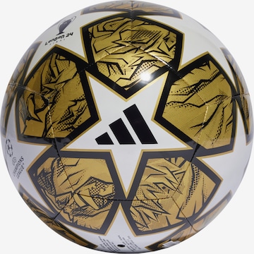 ADIDAS PERFORMANCE Ball in Mixed colors: front