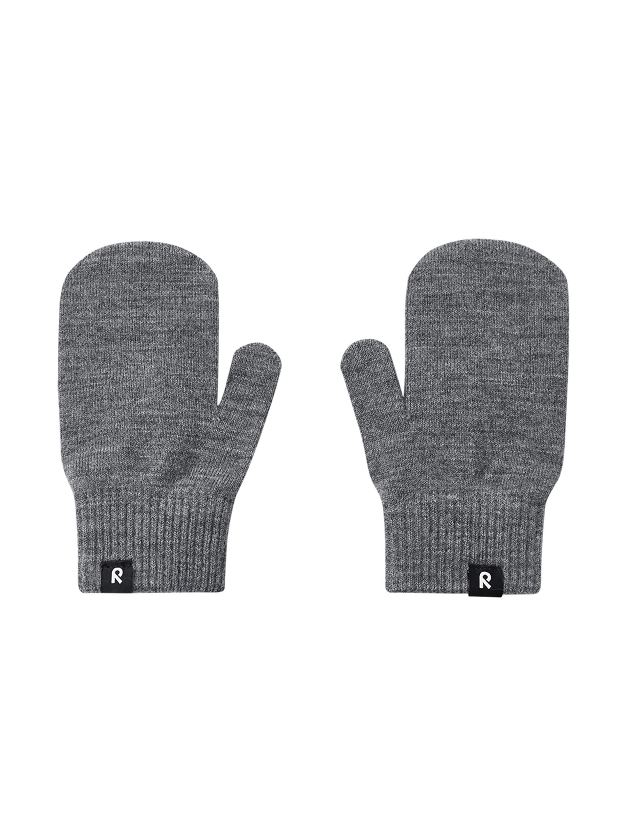 Reima Handschoenen 'Sumppu' in Grijs: voorkant