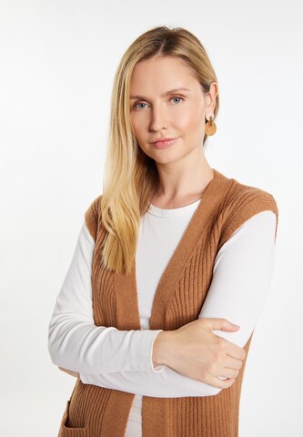 usha WHITE LABEL Knitted Vest 'Teylon' in Brown