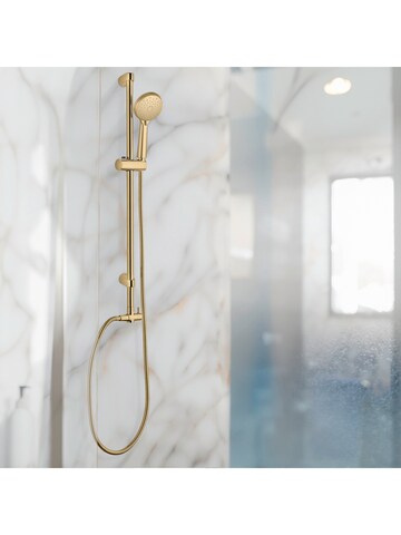 Wenko Shower Accessories 'Brass' in Gold