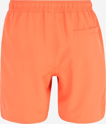 BJÖRN BORG Badeshorts 'Sheldon' in Orange