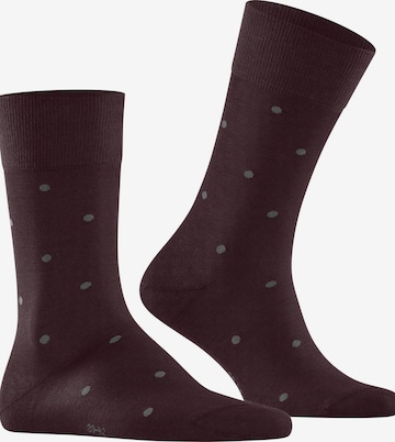 FALKE Socks 'Dot' in Red: front