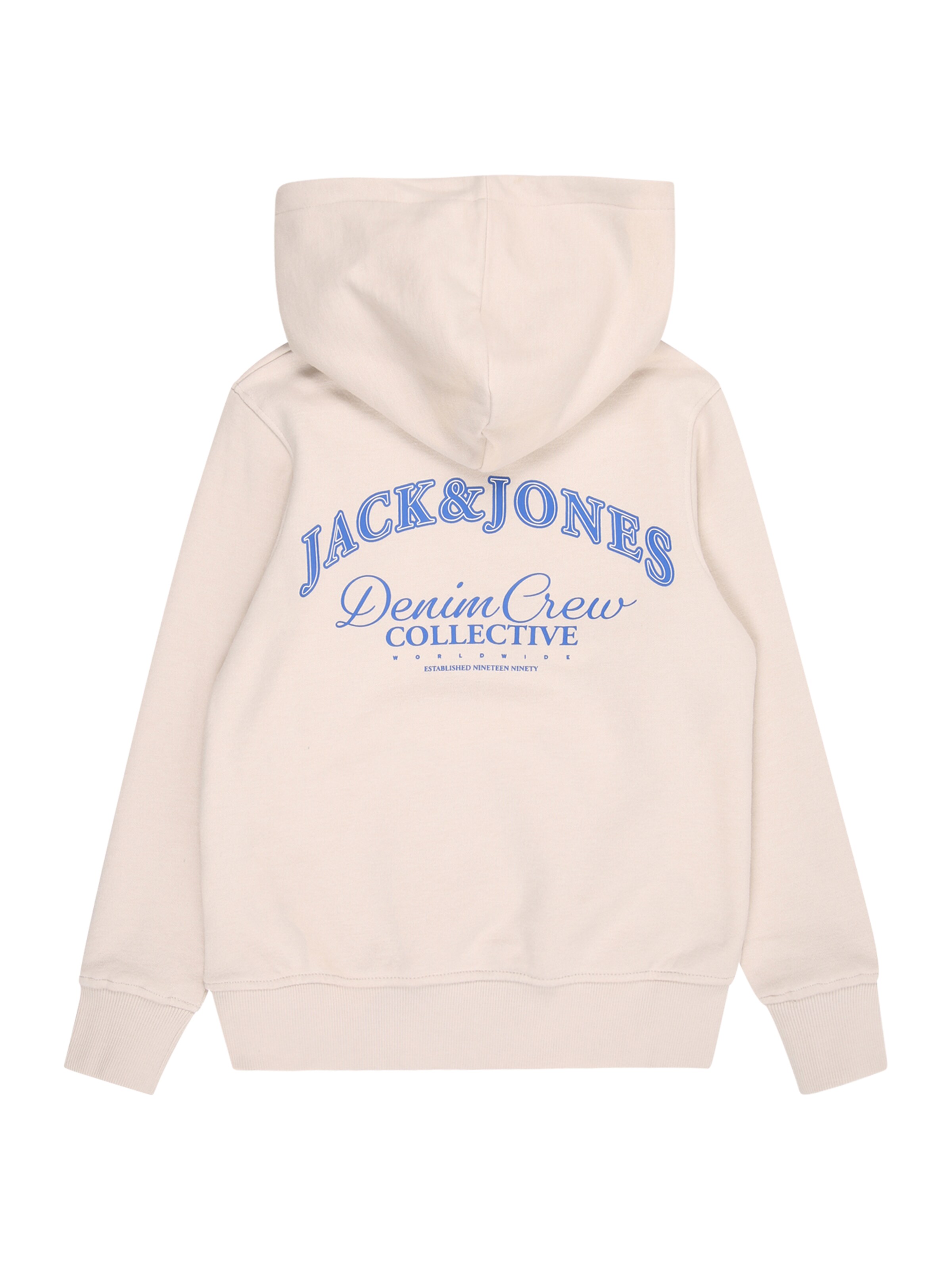 Felpa 'JJEBRANDES' di Jack & Jones Junior in beige