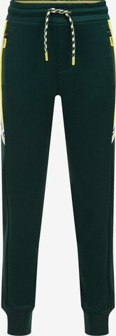 WE Fashion Regular Trousers in Green: front