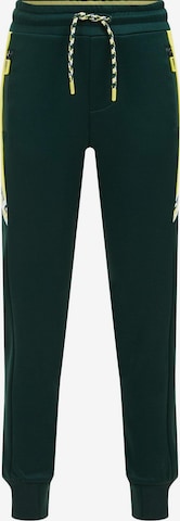 WE Fashion Regular Trousers in Green: front