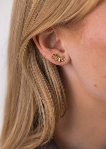 Boucles d'oreilles 'Leaf' PURELEI en or
