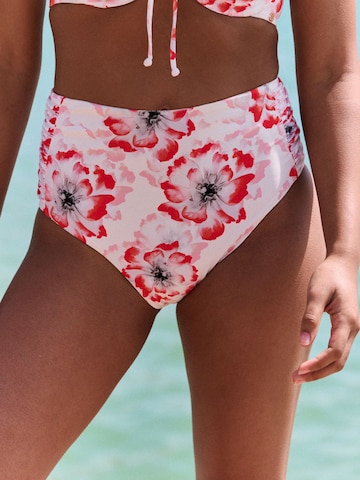 B by Ted Baker Низ бикини в Белый