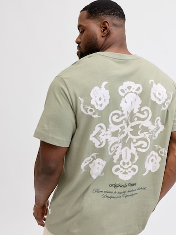 JACK & JONES Shirt in Groen