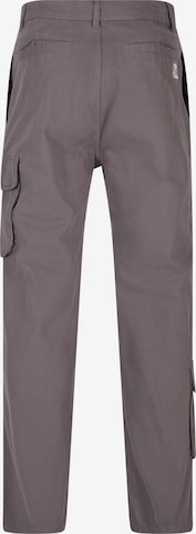 Regular Pantalon cargo Karl Kani en gris