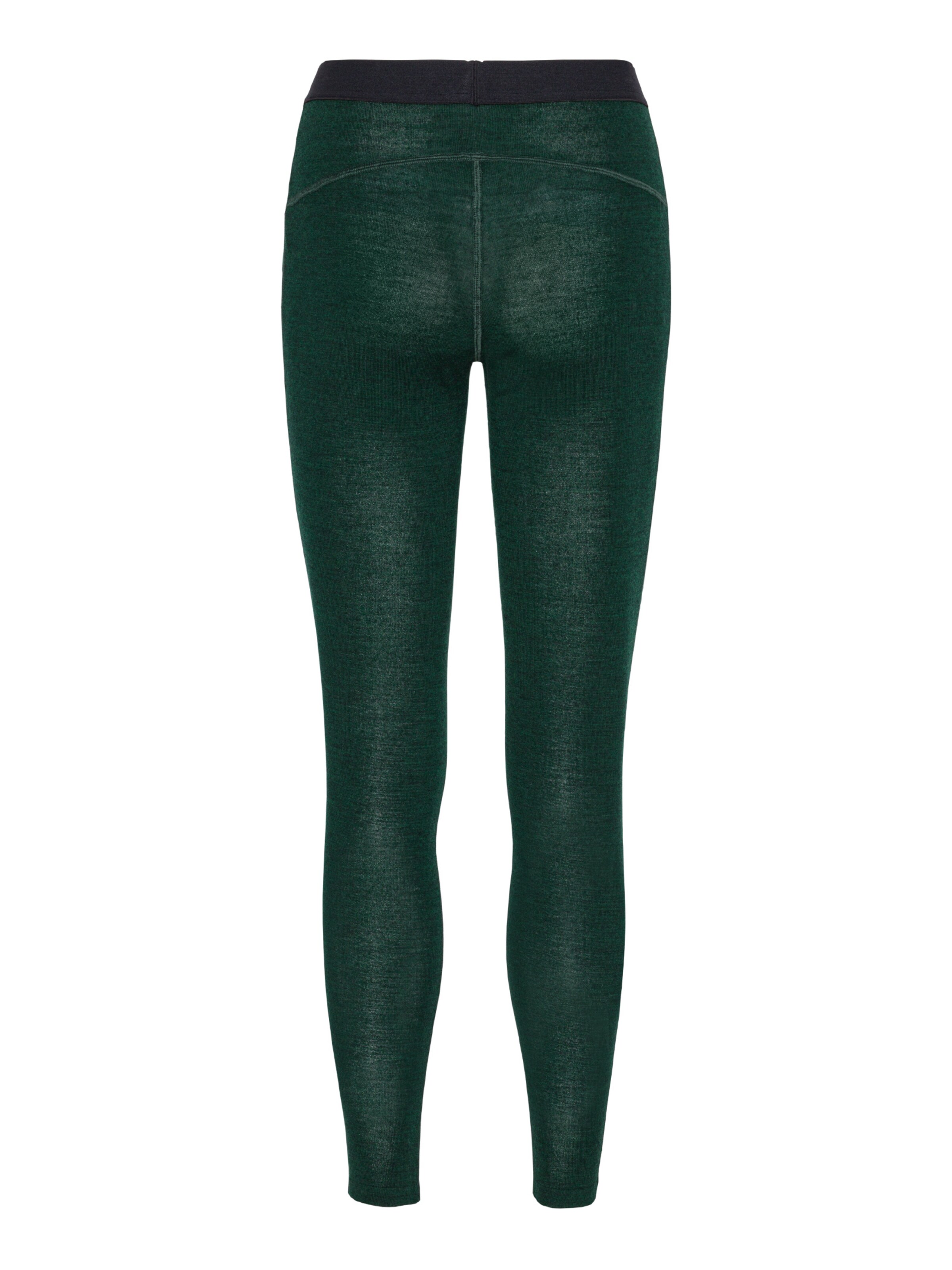 DANISH ENDURANCE regular Funktionsbukser 'Merino' i grøn