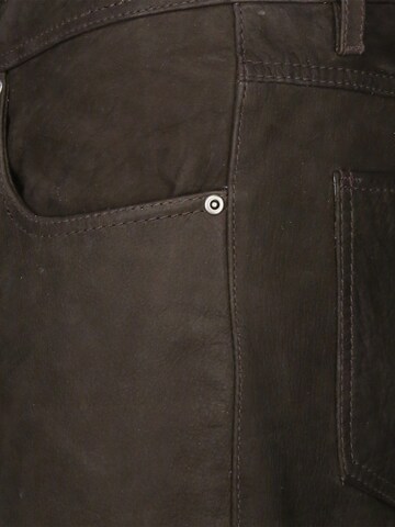 JCC Regular Hose 'Phill' in Braun