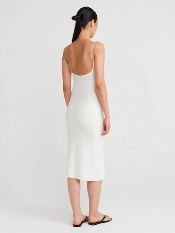 Dilvin Midi Kleid in Weiß