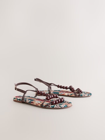 Next Sandalen met riem 'Forever Comfort' in Bruin