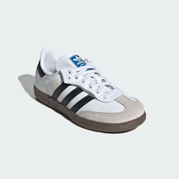ADIDAS ORIGINALS Sneakers 'Samba' in Wit
