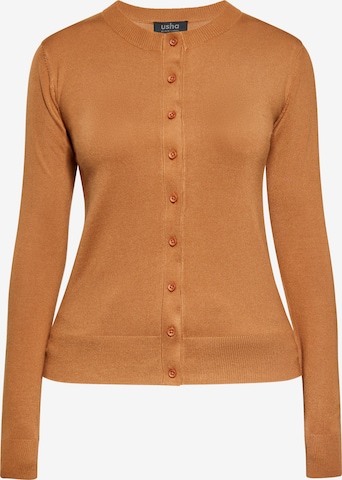 Cardigan usha BLACK LABEL en marron : devant