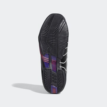 Scarpa sportiva di ADIDAS SPORTSWEAR in nero