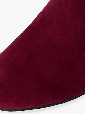 TAMARIS Ankle Boots in Wine ABOUT YOU