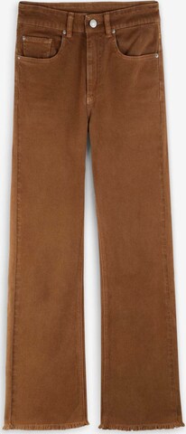 Scalpers Jeans 'Luna' in Brown: front