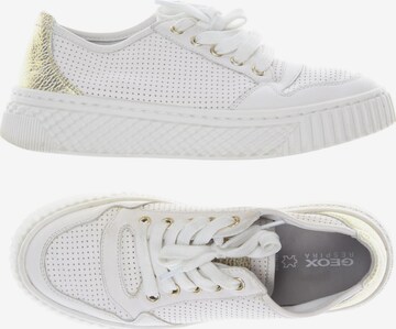 GEOX Sneakers & Trainers in 37 in White: front