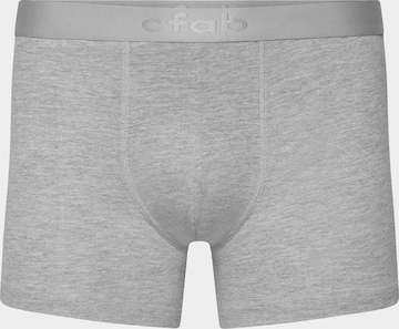Boxer 'Boxershorts' di cfab (formerly creamy fabrics) in grigio: frontale